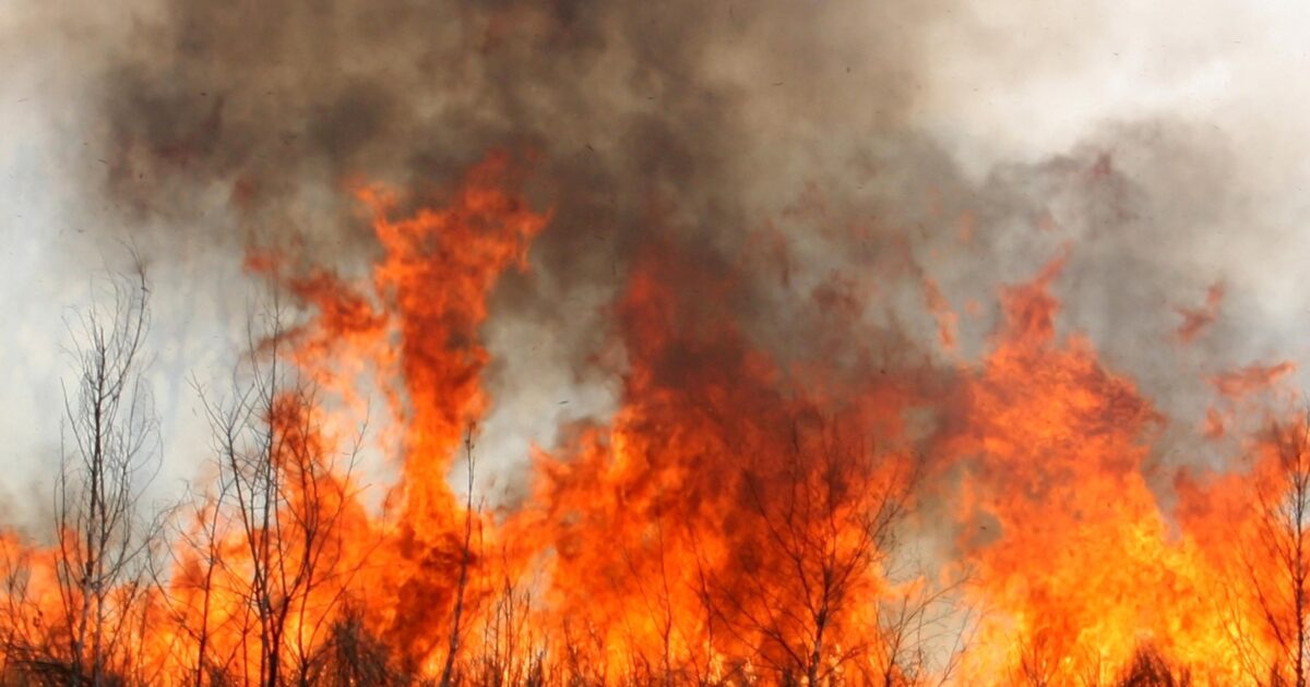 Incendios en Chubut: el clima vuelve a dificultar el control del fuego que ya consumió 45 mil hectáreas