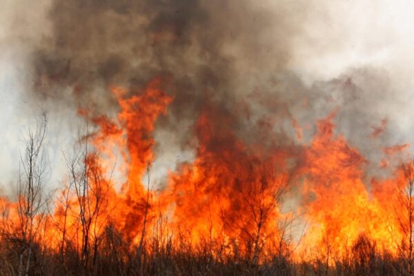 Incendios en Chubut: el clima vuelve a dificultar el control del fuego que ya consumió 45 mil hectáreas